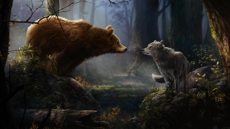 tale, illustration, 1080P, fairytale art, dreamland, fabulous, bear, wilderness, wolf, forest, dreamy, gray wolf, wildlife, cartoon