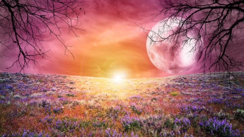 1080P, tranquil scene, cloud - sky, dream, no people, land, beauty in nature, plant, idyllic, tranquility, sunset, landscape, sun, dreamland, sky, outdoors