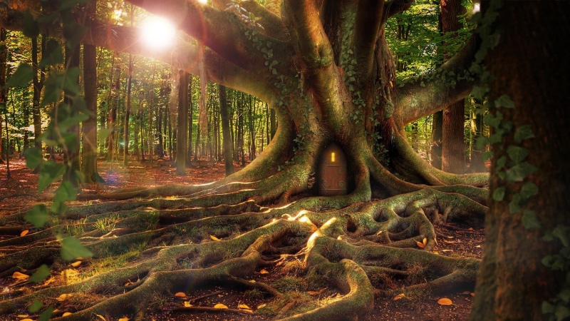 fairy tale, dreamland, woodland, forest, streaming, tree, fairytale, land, plant, rainforest, fantasy art, root, tree house, tranquil scene, fairytale art