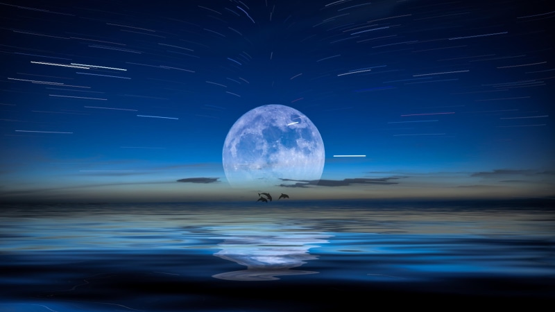 night, fantasy landscape, full moon, blue, sea, moon, dreamland, water, 4K, night sky, moonlight, fantasy art, sky, reflection, dolphins