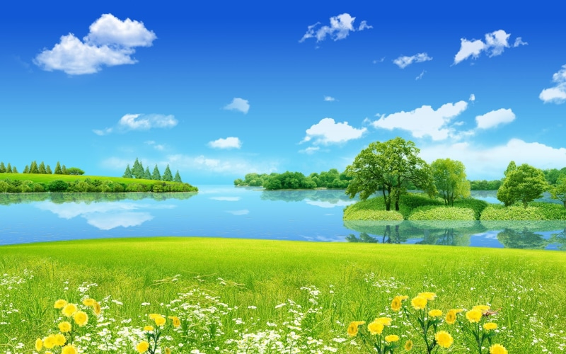 dreamland, creative, pond, graphics, summer, hd, green, 1080P, grass, picture, creative and graphics