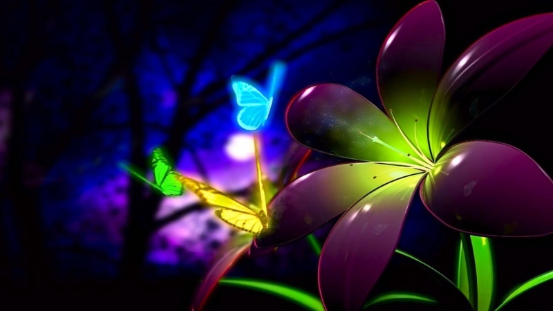 lighting, butterfly, flower, fairytale, darkness, petal, 1080P, shine, luminous, dreamland, plant, glow, forest, glowing, dream, flora
