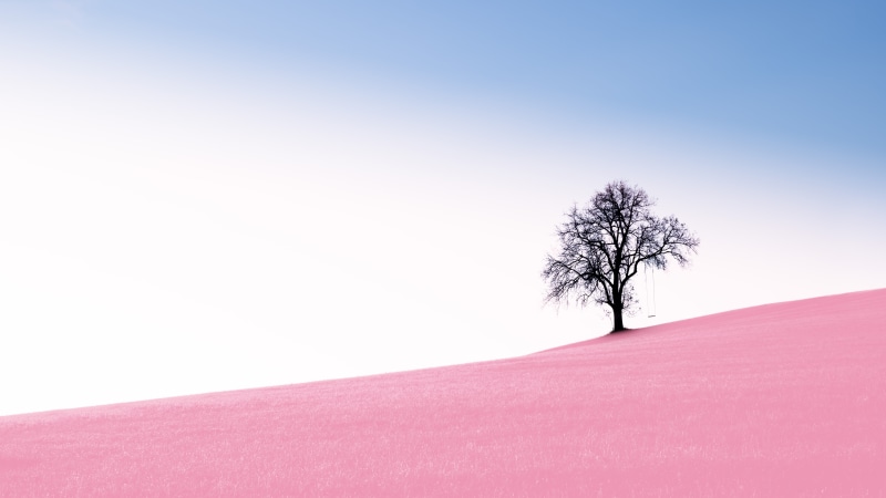 panorama, the land of fairy tales, no people, land, bright, environment, beauty in nature, tree, landscape, tranquil scene, cold temperature, 8K, bright colours