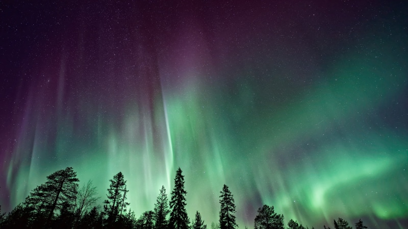 united states, polar lights, duluth, north shore, night, night sky, usa, landscape, tree, midnight lights, night lights, aurora borealis, 5K, northern lights