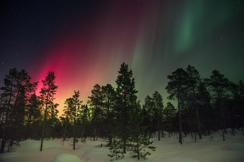 beauty in nature, northern light, night, silhouette, green color, sky, aurora, nordic light, tree, star - space, non-urban scene, rays, winter, idyllic