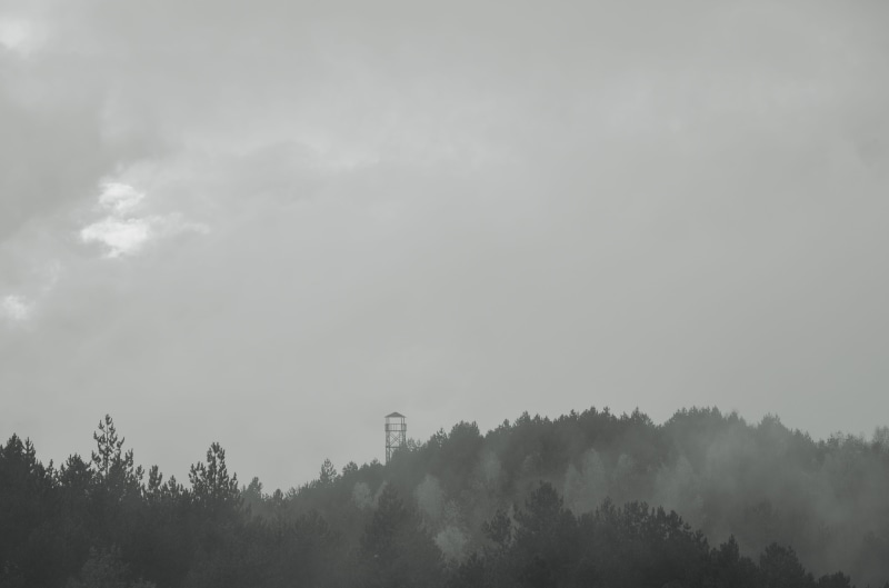 tranquility, non-urban scene, tranquil scene, sky, fog, forest, cloudy, watchtower, outdoor, nature, environment, hazy, no people, trees, idyllic, autumn