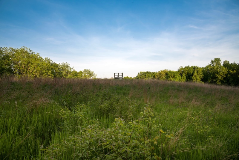 watchtower, cloud - sky, 5K, outdoors, tree, no people, growth, land, green Color, agriculture, architecture, public domain, "mississippi palisades state park"