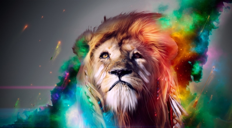 nature, animal wildlife, celebration, Colorful, animal, mammal, multi colored, animal themes, pets, motion, lion, blurred motion, domestic animals