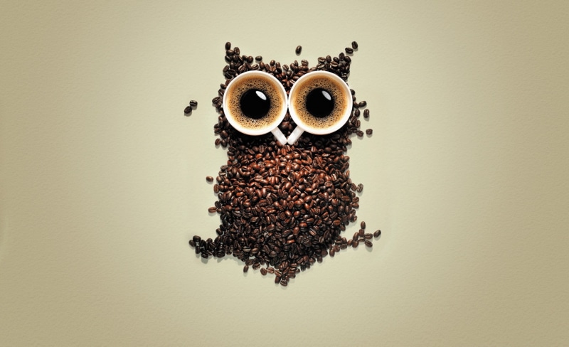 Creative, breakfast, Coffee, food, anthropomorphic, coffee beans, food and drink, white background, 1080P, freshness, owl, representation, creativity