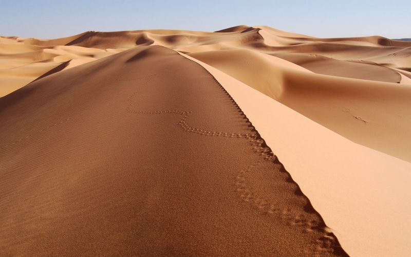 desert, dune, landscape, 720P, sand, footprints, sahara