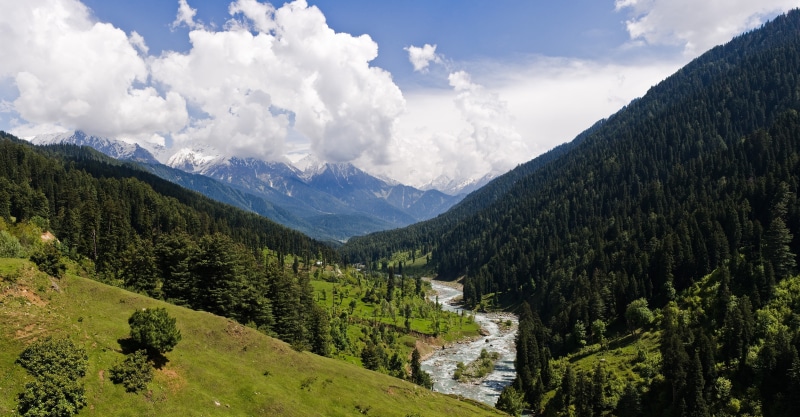 mountains, tree, mountain range, snowy peak, tranquil scene, non-urban scene, scenics - nature, day, no people, trees, Kashmir, 4K, sky, cloud - sky, plant