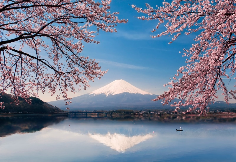 Japan, mount Fuji, 1080P, Fuji, mt, boat, lake, Sakura, spring, water, flowers