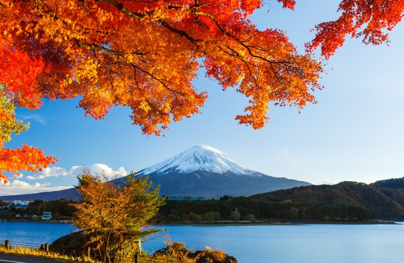 Fuji, water, mt, season, forest, scenics - nature, travel, beauty In Nature, outdoors, tranquility, sky, mountain Peak, change, non-urban scene, autumn