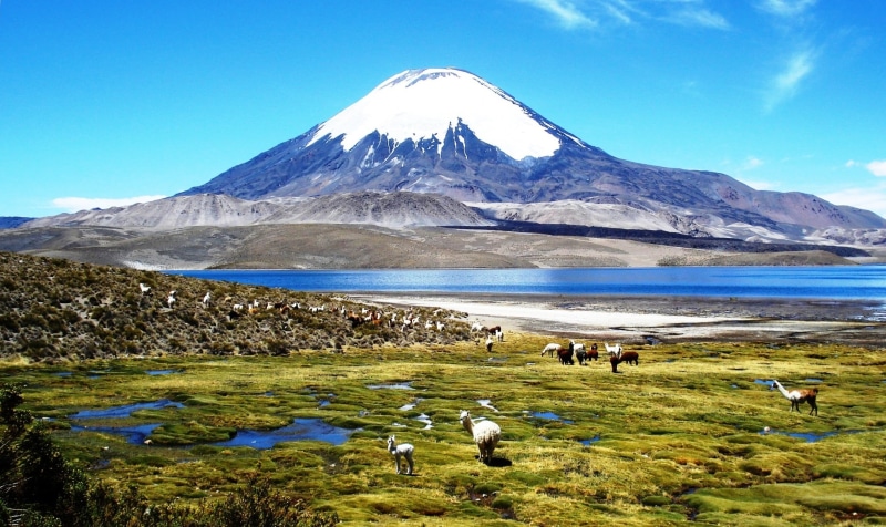 green, sky, lake, mountain Peak, chile, blue, outdoors, volcano, scenics, mt Fuji, landscape, japan, 1080P, snow, nature, grass, goat, mountain