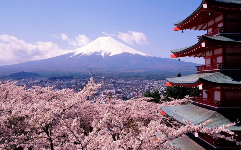 sky, travel destinations, building exterior, beauty in nature, 2K, tree, blossom, outdoors, fuji, japan, cloud - sky, plant, belief, snowcapped mountain