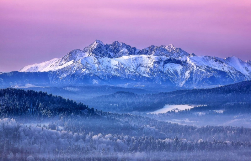 mountains, fog, mountain, Slovakia, sky, pine tree, twilight, ice, winter, travel destinations, landscape, cold temperature, icy, snow, 1080P, pink, forest