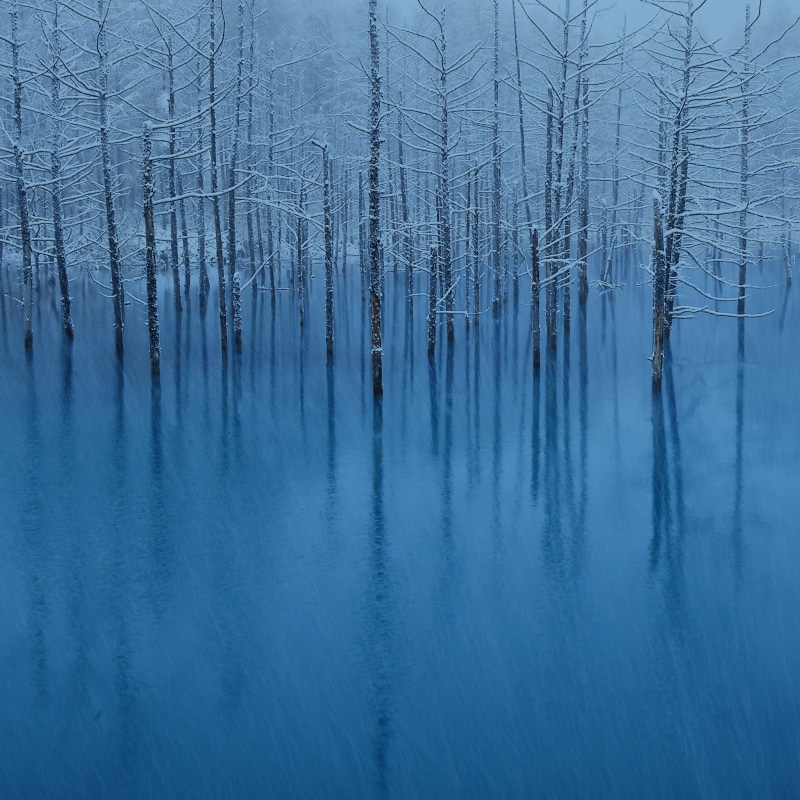 tranquil Scene, home screen, third generation, 3rd generation  ipad, blue, outdoors, forest, water, field, 1080P, winter, Patterns, trees, osx, scenics