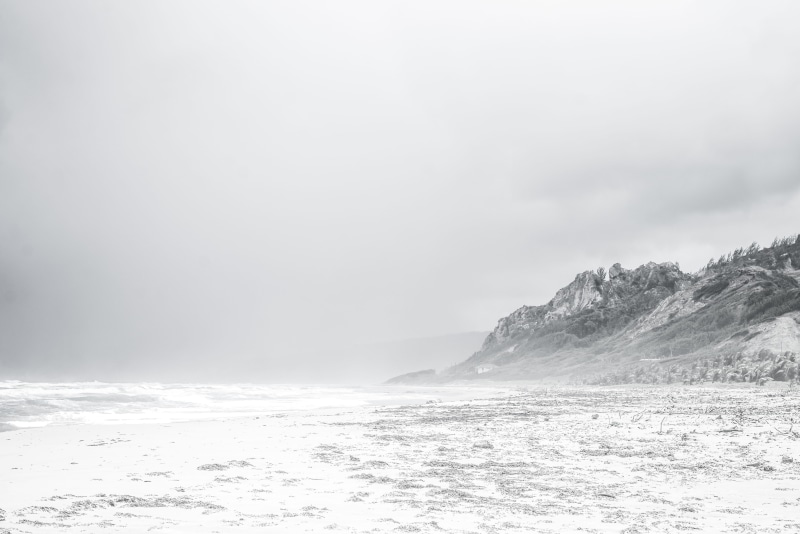tranquility, nature, cold temperature, desert, black and white, power in nature, non-urban scene, day, fog, idyllic, trees, mist, winter, outdoors, motion