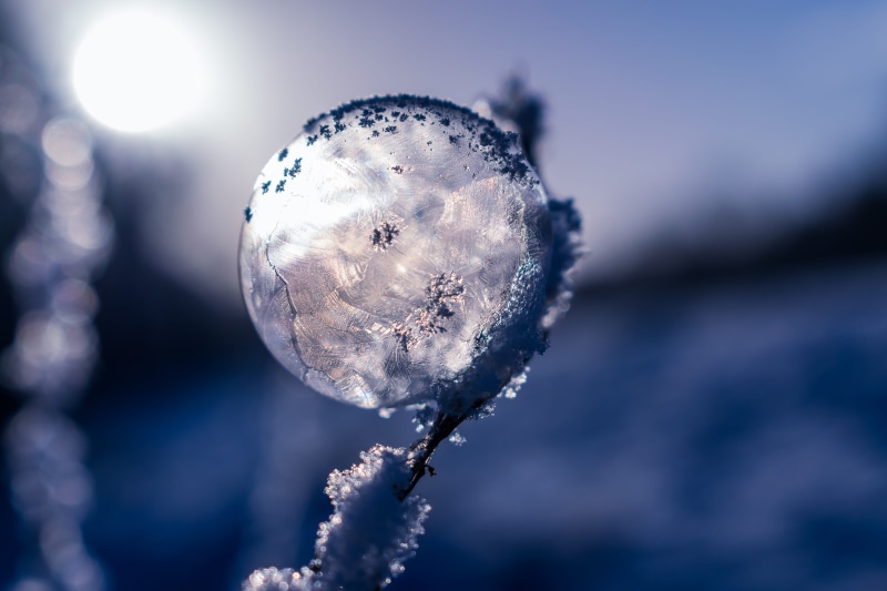 fairytale, ice-bag, beauty in nature, crystalline, winter magic, flower, hardest, day, plant, selective focus, frost blister, close-up, frozen, silver