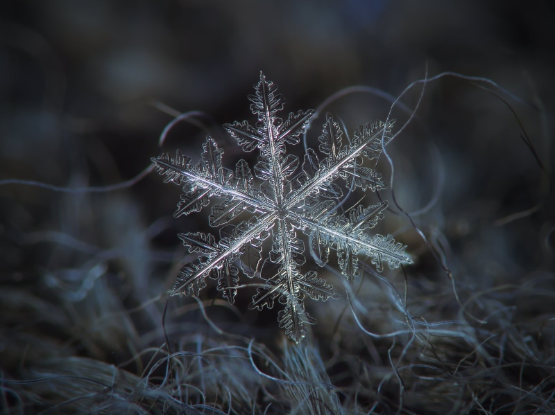 snow  crystal, photo, macro, close  up, winter, flake, star  blue, season, pattern, lighting, christmas, volumetric, north, woolen, dark, icy, flakes, dendrite