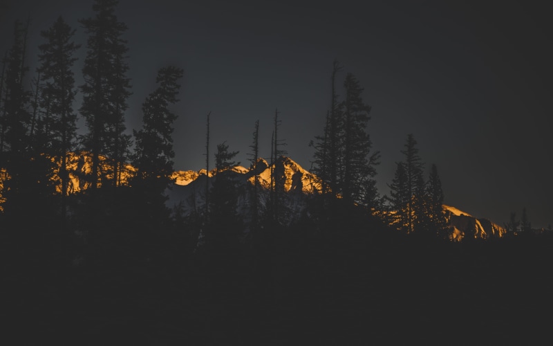5K, night, nature, land, growth, cold temperature, illuminated, tranquil scene, dusk, scenics - nature, forest, non-urban scene, sky, white, cityscape