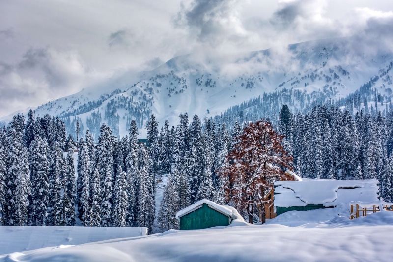 non-urban scene, snow, pine tree, murree, snowcapped mountain, cold temperature, land, tree, environment, forest, pine woodland, kashmir, plant, snowfall in azad kashmir