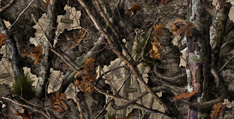 trunk, forest, tree, land, outdoors, messy, close-up, change, Woodland Camouflage, wood - material, wood, nature, field, plant part, 720P, full frame