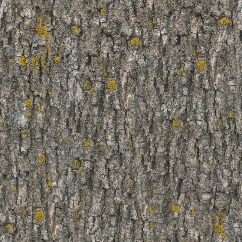 built structure, day, textured, pattern, no people, 1080P, close-up, wall - building feature, full frame, nature, trunk, lichen, rough, outdoors, texture