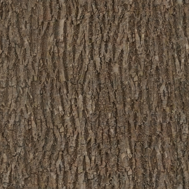 nature, base, wood, natural, bark, brown, environment, 1080P, wood - material, color, timber, basecolor, outdoor, backgrounds, textured effect, full frame