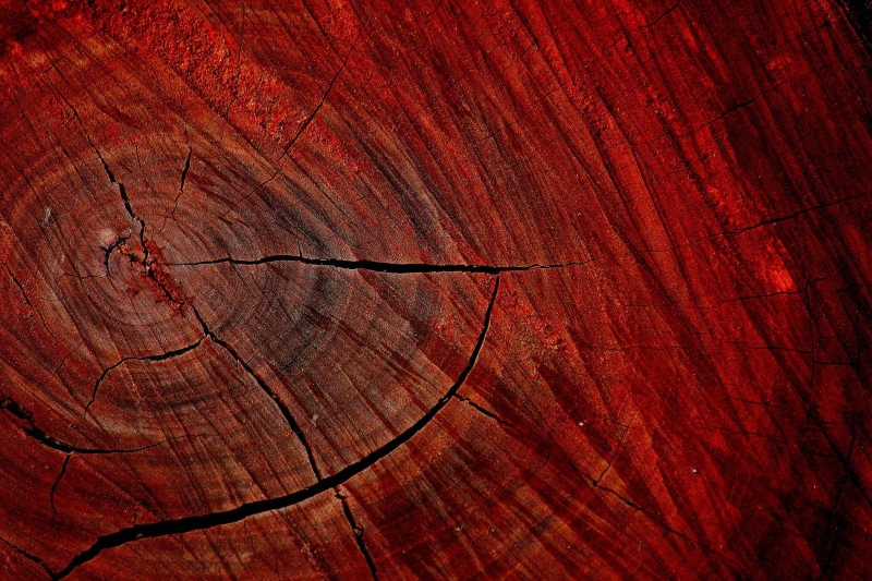day, texture, tree ring, cracked, timber, parquet Floor, macro, flooring, full frame, table, concentric, material, textured, nature, brown, pattern, tree stump