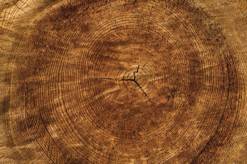 backgrounds, aging Process, cross Section, plank, tree, timber, log, cracked, texture, nature, textured, wood - Material, hardwood, tree Trunk, weathered
