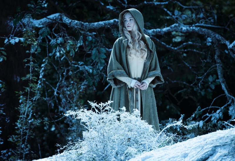 cape, forest, cold temperature, statue, Maleficent, representation, plant, women, art and craft, day, Elle Fanning, Aurora, standing, winter, nature, woodland