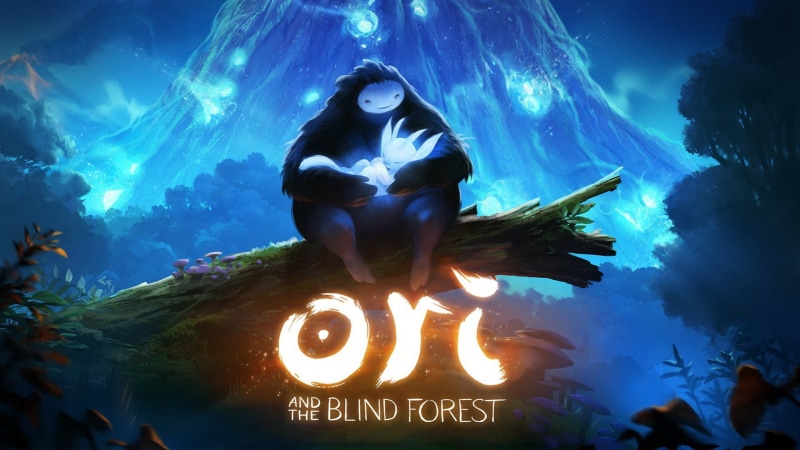 young adult, real people, 1080P, young women, lifestyles, western script, one person, front view, women, Ori and the Blind Forest, forest, Platformer