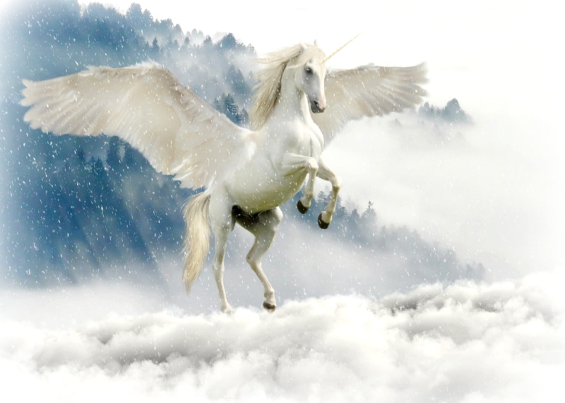 winter, symbol, scene, mysterious, vertebrate, one animal, animals in the wild, cloudy, landscape, composing, horn, spread wings, animal, white color, snow