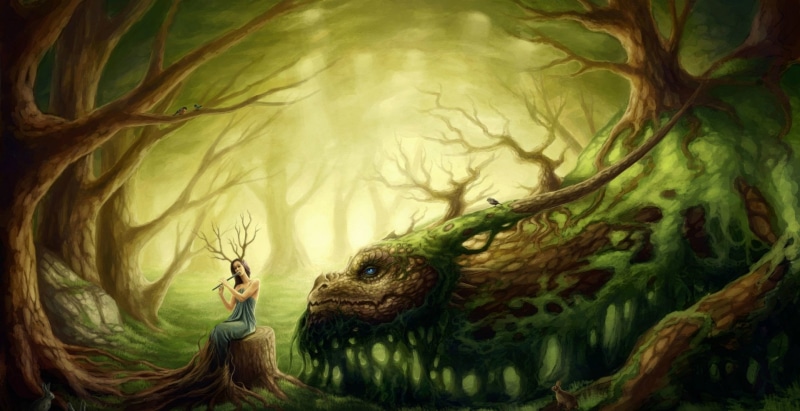 animal wildlife, animals in the wild, fairy, 1080P, green color, women, adult, Sylvan, vertebrate, tree, bird, fairy tale, contemplation, Woman, forest
