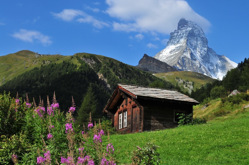 landscapes, daytime, brown house, alpes, europa, colour, surrounded, rubiano, pine trees, nikon, brown, mountain, house, green, near, pine, Swiss, europe