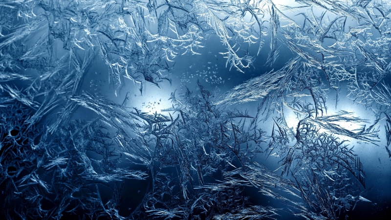 frost, glass - material, tranquility, window, snow, frozen, beauty in nature, close-up, tree, day, no people, winter, plant, cold temperature, nature, snowflake