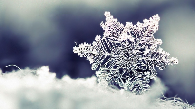 close up, 4K, snow, macro photography, macro, frost, winter, freezing, snowflake