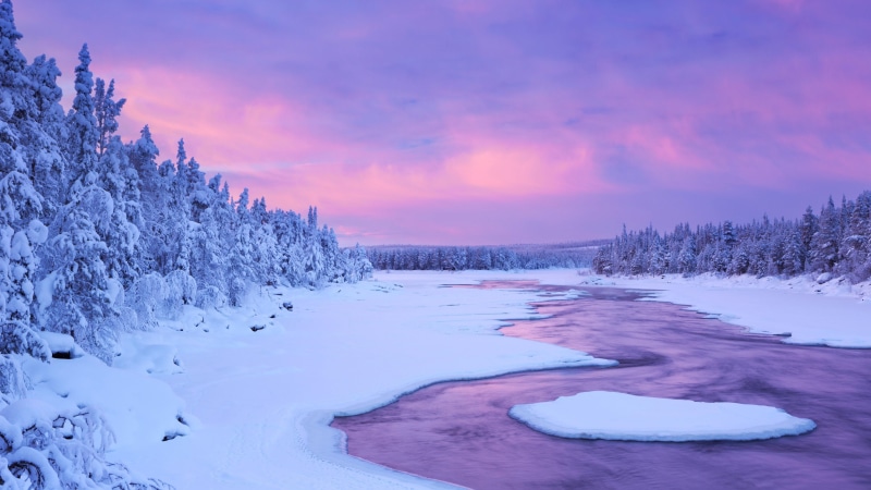water, tree, europe, snow, 4K, winter, ice, tundra, freezing, river, arctic, morning, finland, lapland, purple, sky, nature, frost