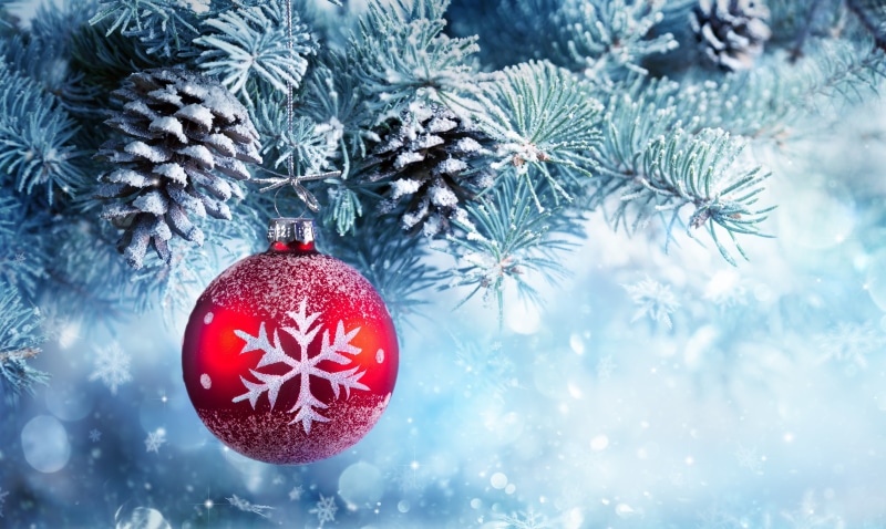 season, bright, copy Space, blue, frost, winter, close-up, snow, Xmas, celebration event, year, snowing, pine Tree, evergreen Tree, bauble, coniferous tree