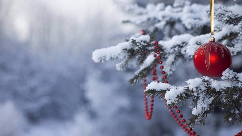 hanging, 4K, pine, outdoors, no people, snow, branch, plant, pine tree, christmas, fir tree, holiday, holiday - event, fir, conifer, spruce, decoration