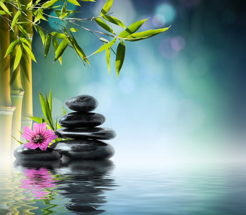 stack Rock, close-up, stones, spa, balance, lifestyles, beauty, flower head, feng Shui, stability, stone - Object, flower, growth, bamboo Leaf, healthy Lifestyle