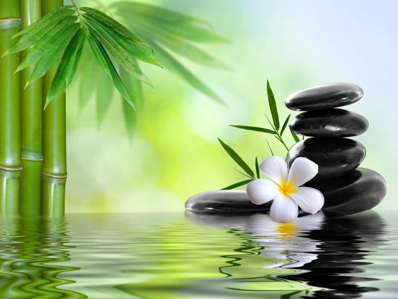 bamboo - Plant, spa Treatment, fragility, relaxation, stones, inflorescence, leaves, healthy Lifestyle, harmony, black Color, purity, massaging, tranquil Scene