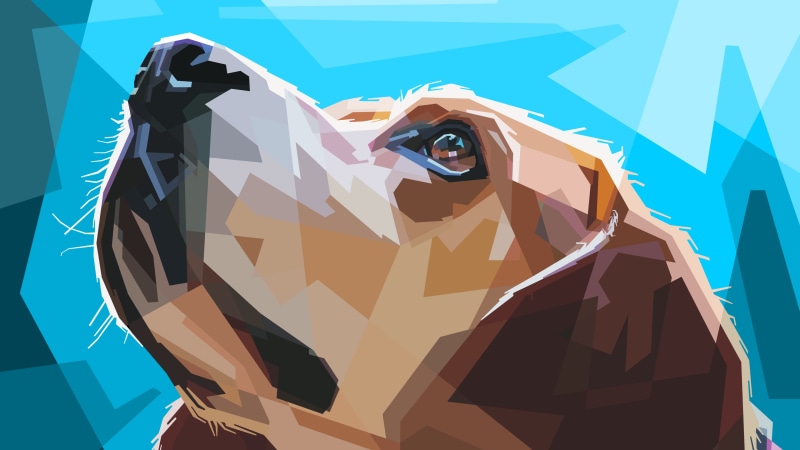 muzzles, digital art, dog, polygon art, illustration, animals, 4K