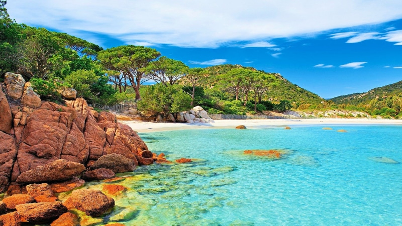  palombaggia, france, turquoise colored, beach, plant, tranquil scene, land, water, 2K, laptop, tree, nature, travel destinations, phones, scenics - nature