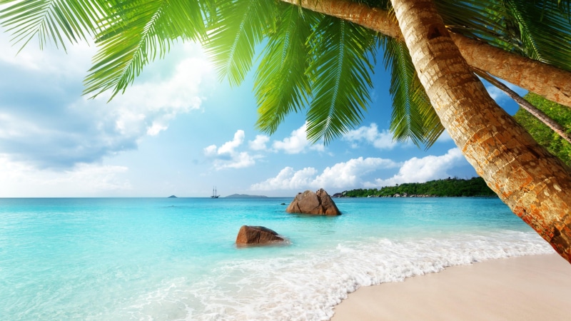 water, tranquility, lagoon, island, coconut palm tree, no people, luxury, horizon over water, tropical climate, shore, nature, tranquil scene, 4K, scenics - nature