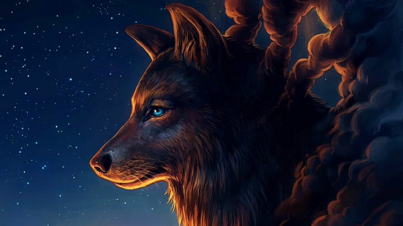 domestic, blue eyes, werewolf, looking, nature, starry night, snout, mammal, wildlife, animal, midnight, pets, canine, wolf, 1080P, side view, sky, dog