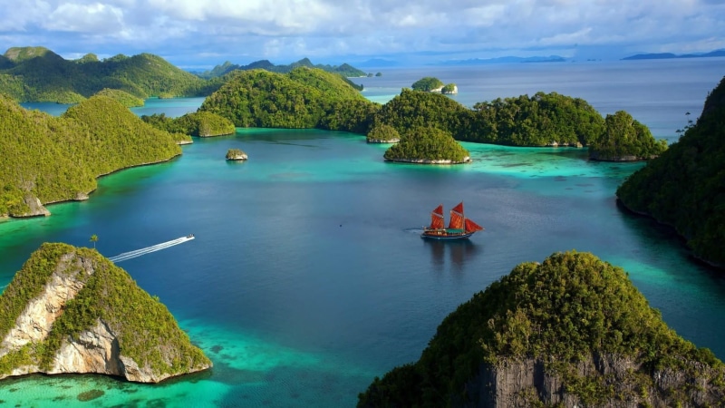 water, tree, raja ampat islands, bay, sea, island, day, no people, outdoors, beauty in nature, islet, raja ampat, archipelago, lagoon, plant, scenics - nature