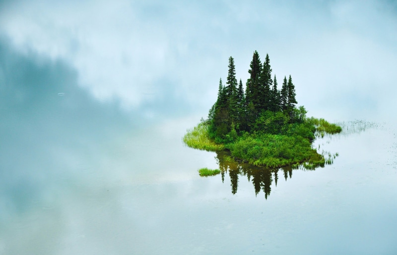 idyllic, trees, scenics - nature, non-urban scene, water, beauty in nature, plant, outdoors, floating, nature, day, reflection lake, coniferous tree, island