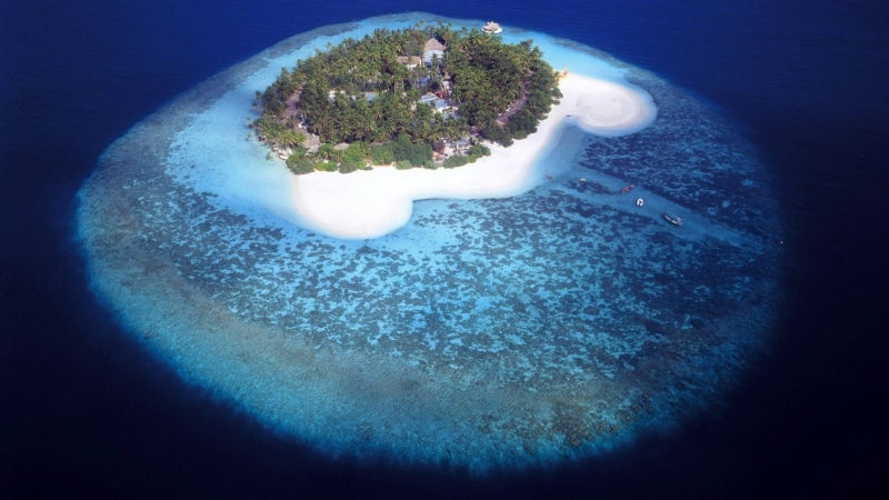 island, 1080P, land, no people, nature, circle, indoors, beauty in nature, coral, view, sea, plant, studio shot, cold temperature, blue, photography, tree